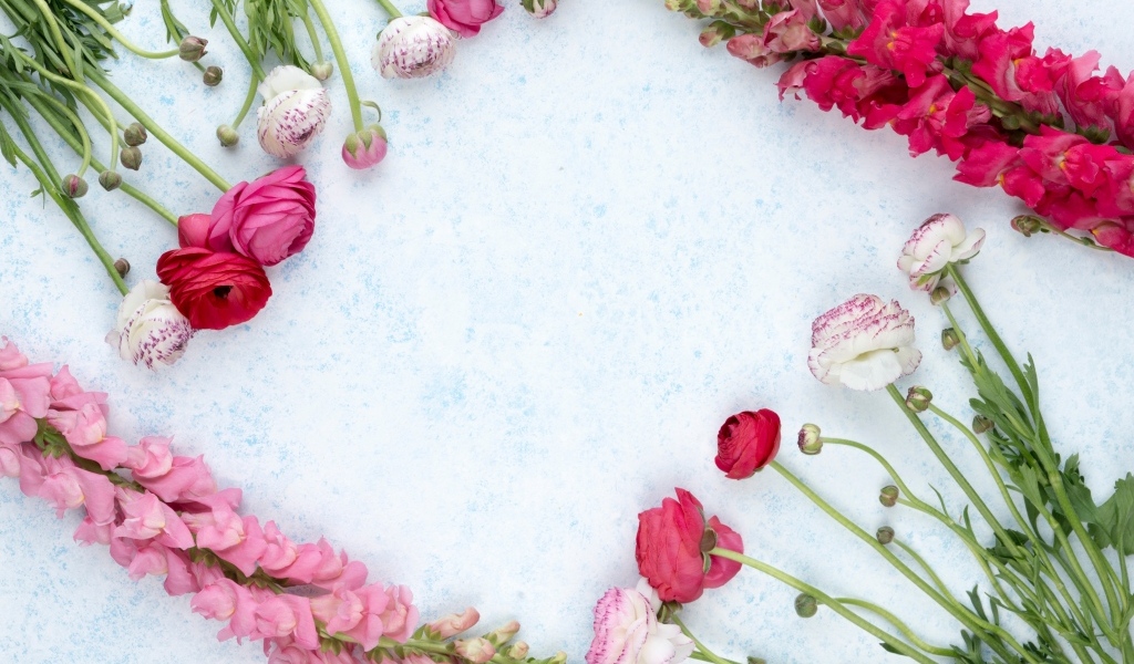 Лютики и цветы антирринум на голубом фоне