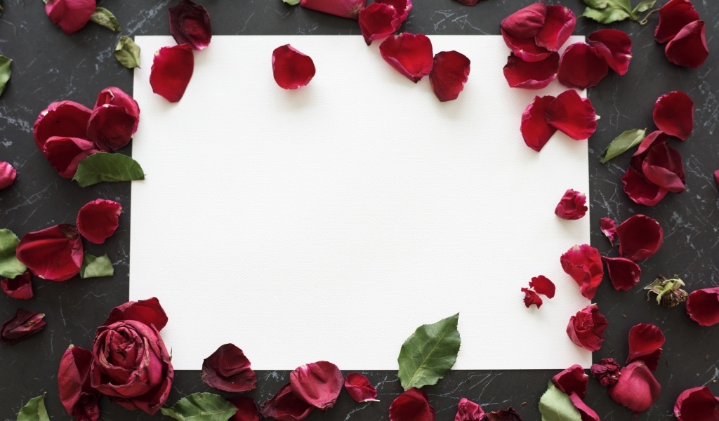 Лепестки розы с белым листом на столе