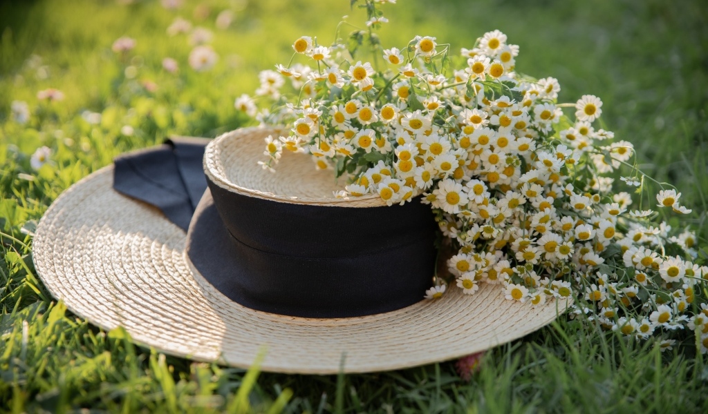 Соломенная шляпа на траве с цветами ромашки