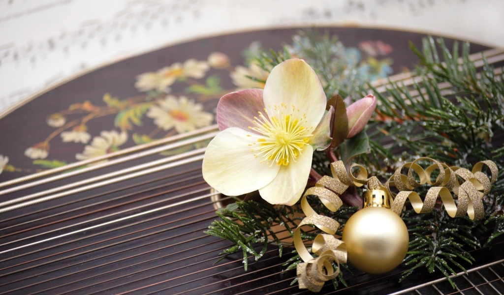 Цветок лежит на музыкальном инструменте