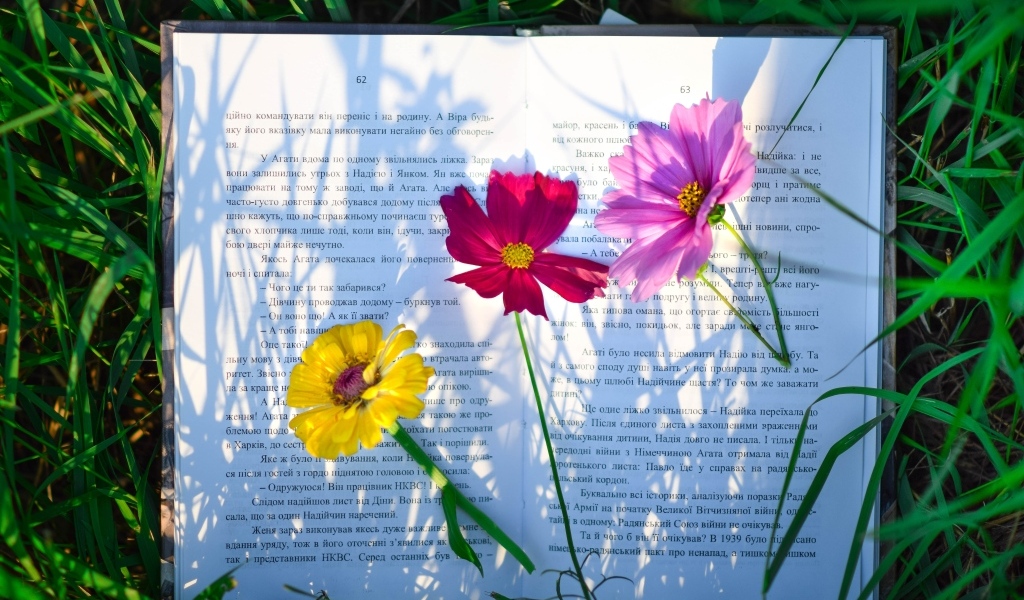 Три цветка лежат на книге в траве