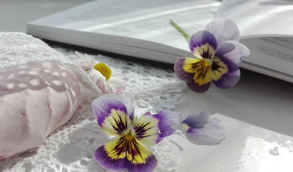 Два цветка анютины глазки с книгой и зефиром