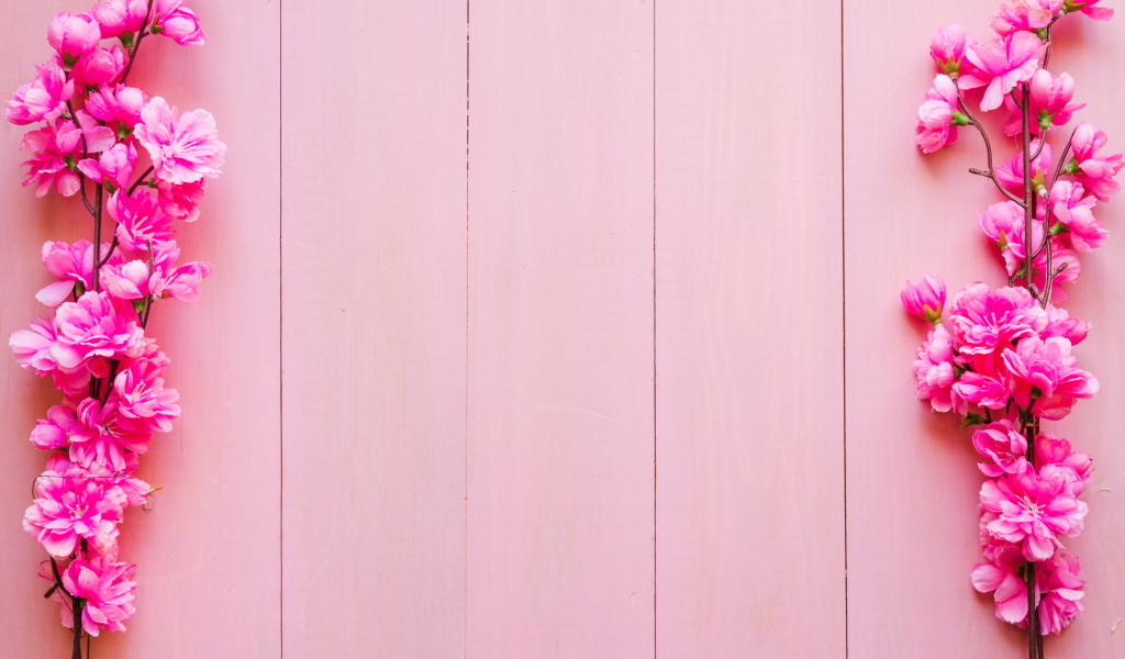 Два весенних цветка на розовом фоне