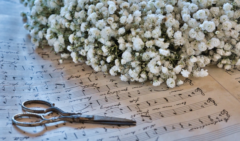 Белые цветы гипсофилы с ножницами и нотной тетрадью