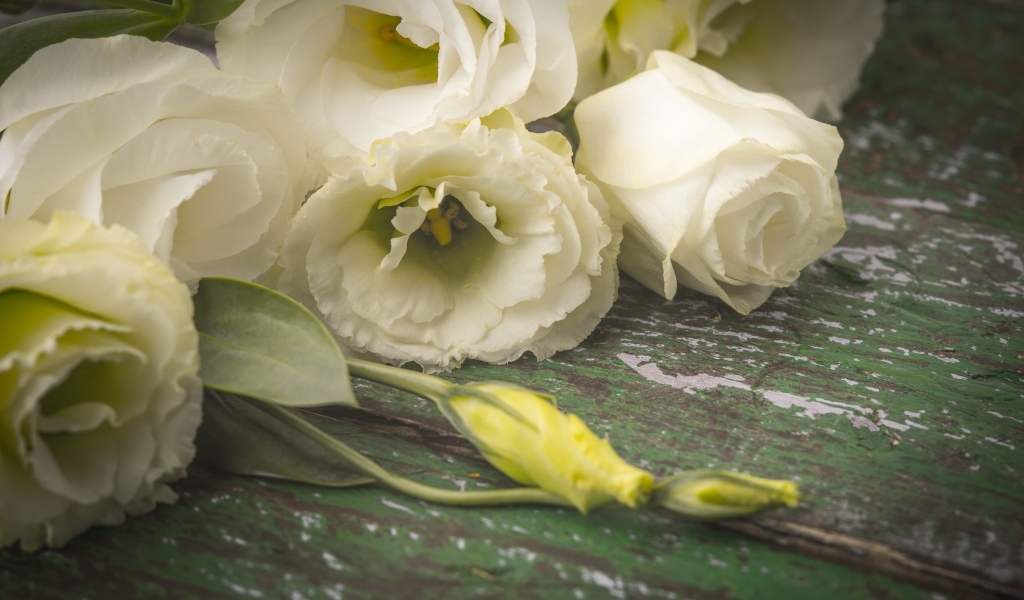 Белые розы и цветы эустомы на столе