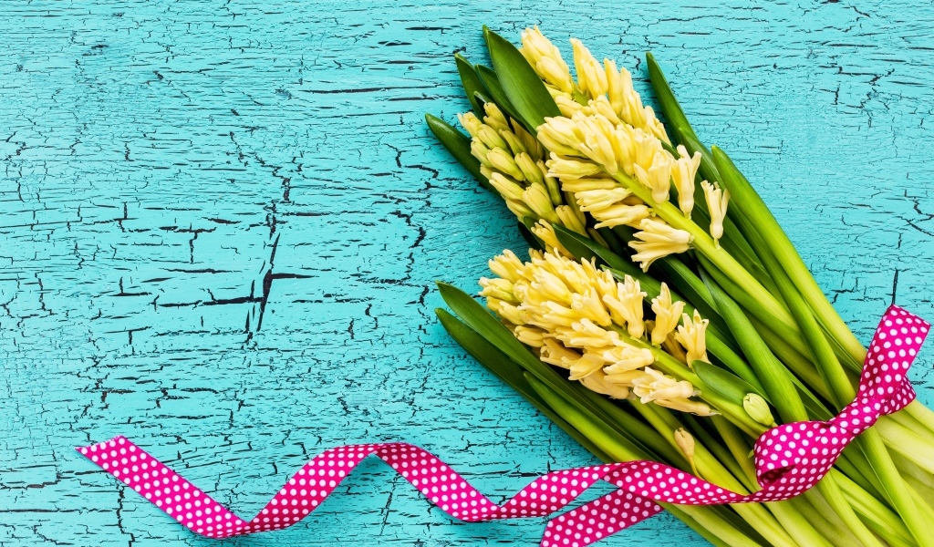 Желтые гиацинты с лентой на голубом фоне