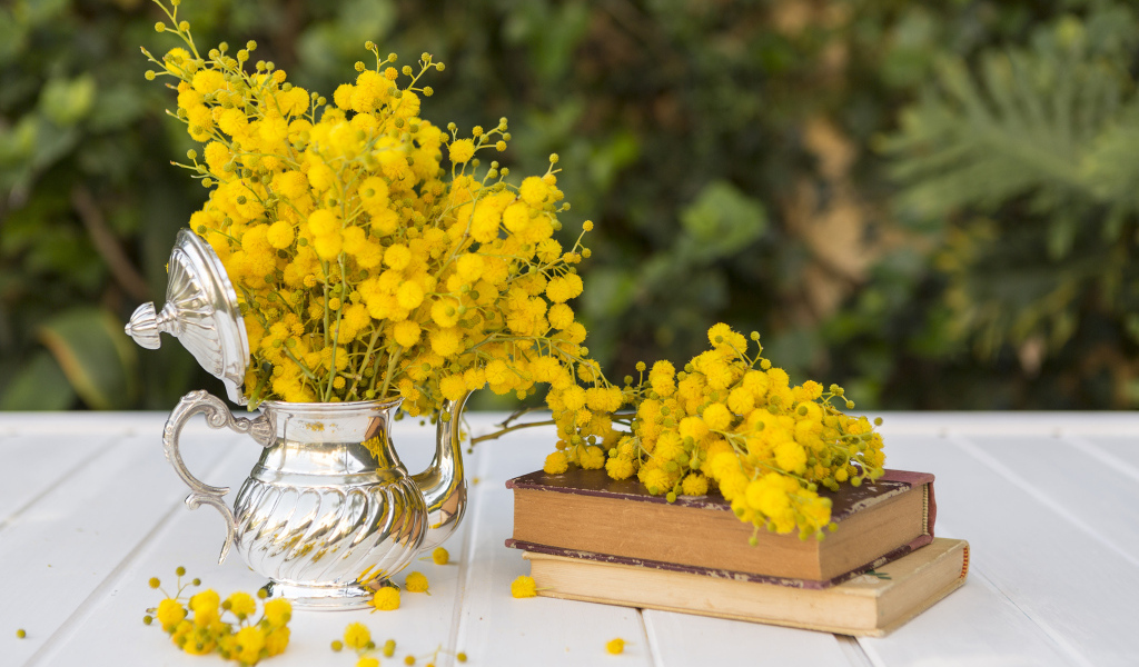 Желтые цветы мимозы на столе с книгами