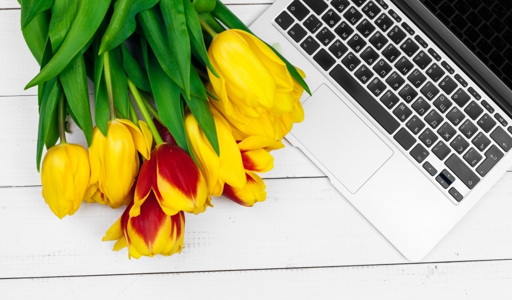 Желтые тюльпаны с ноутбуком на столе