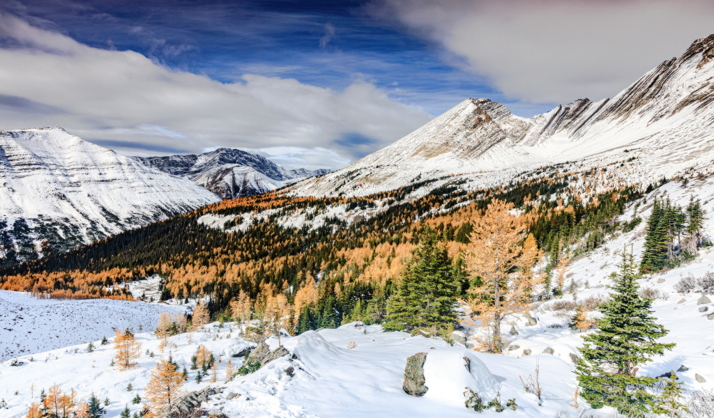 Красивый вид на холодные заснеженные горы