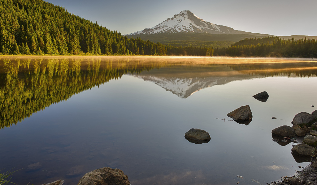 Красивый вид на озеро, лес и заснеженную гору