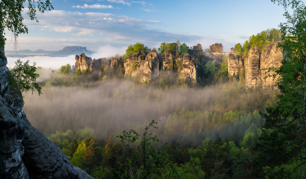 Туман над лесом в горном ущелье