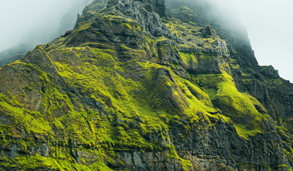 Высокая гора покрыта зеленой растительностью