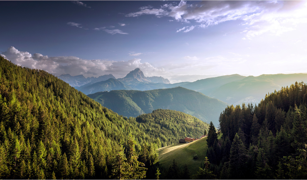 Большие покрытые густым лесом горы