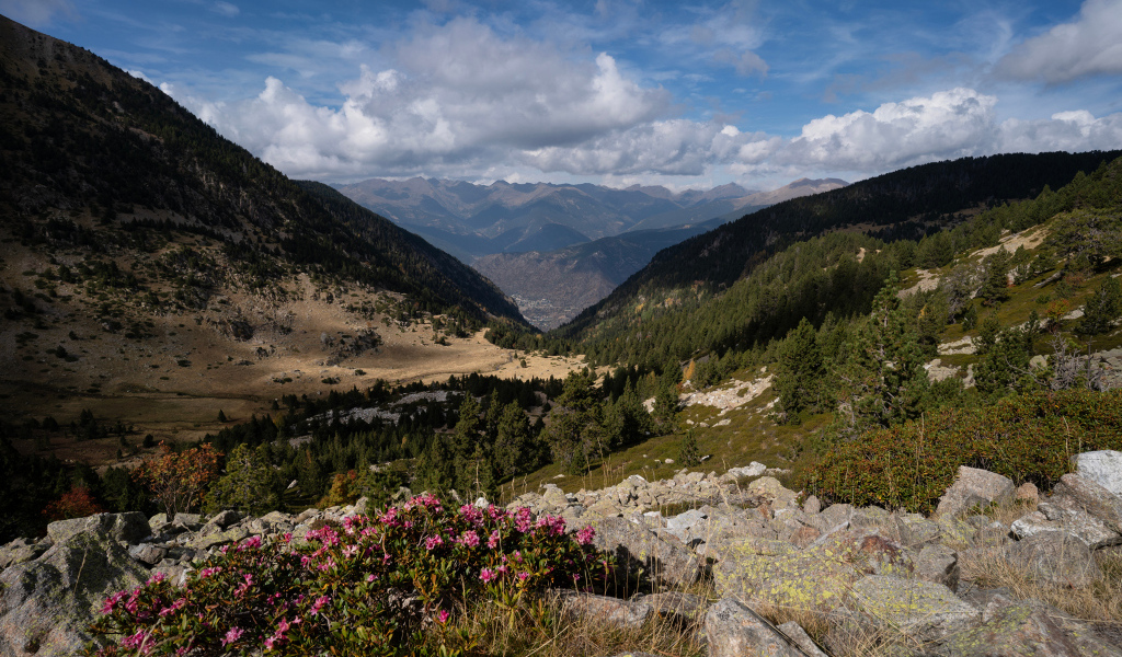 Покрытые зелеными деревьями горы под красивым небом