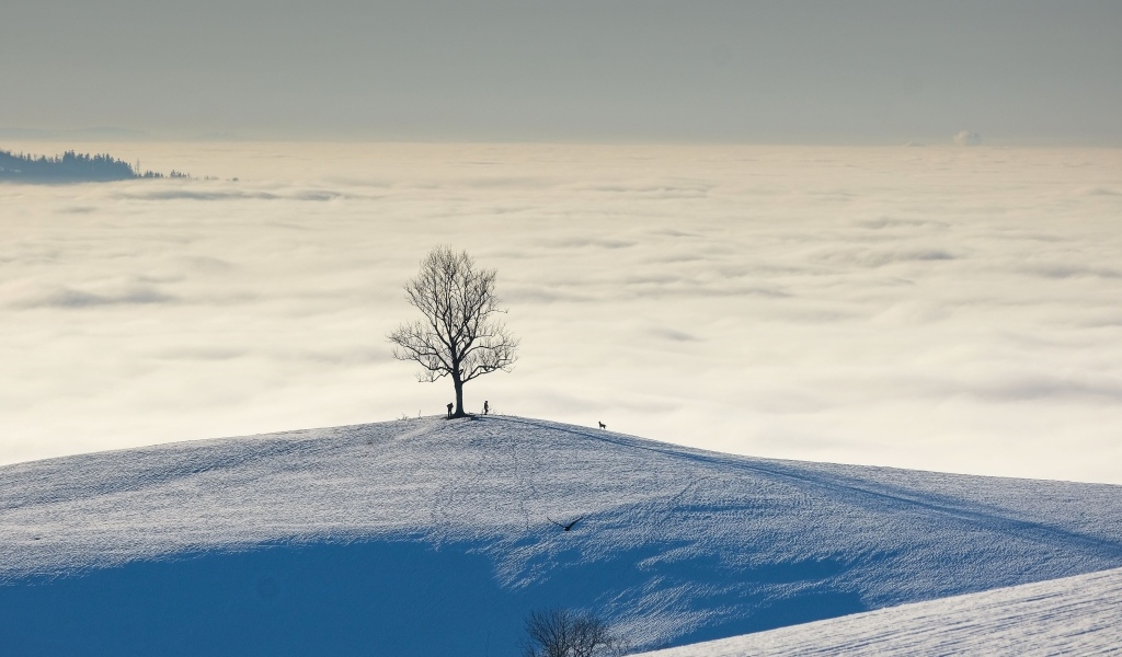 Густые белые облака в заснеженных горах