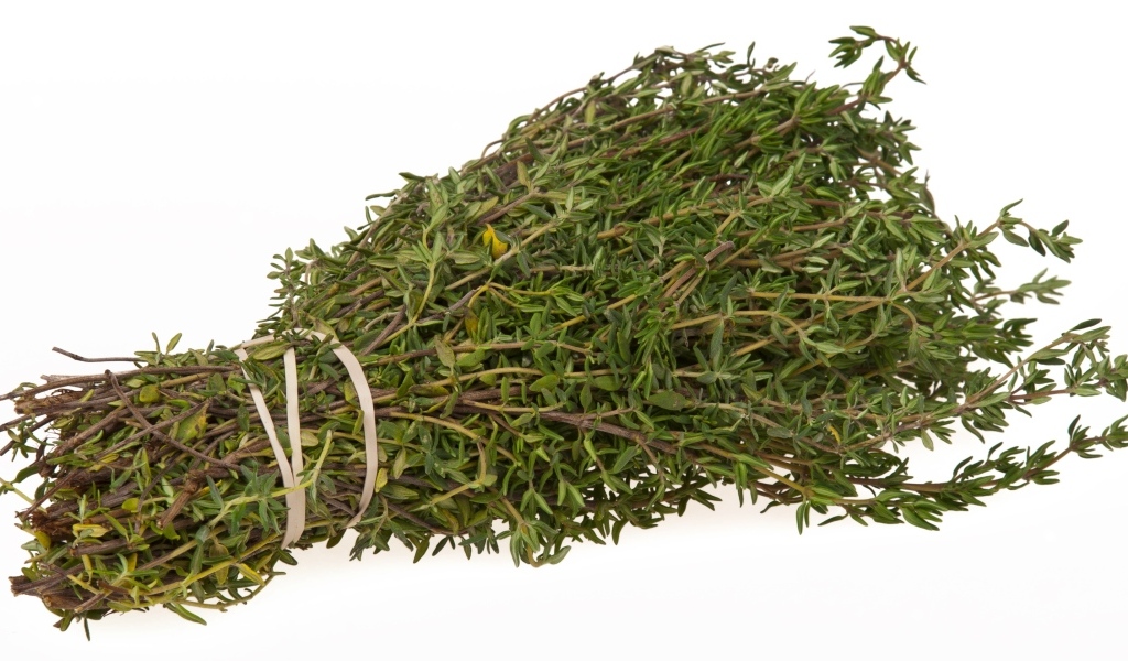 Пучок листьев розмарина на белом фоне