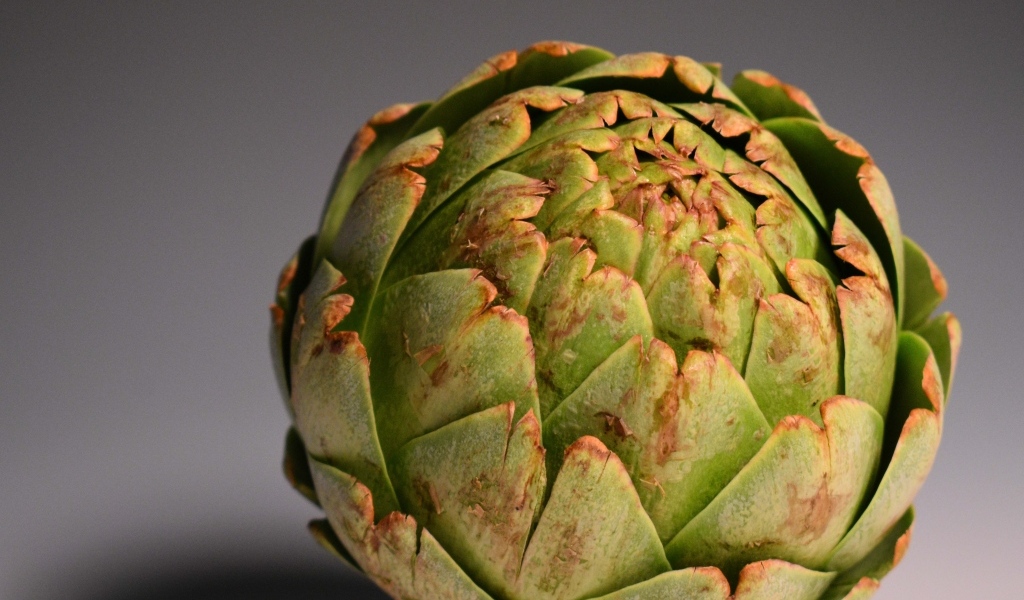 Большой зеленый артишок на сером фоне