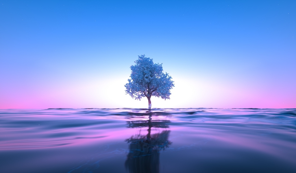 Дерево растет в воде на фоне неба