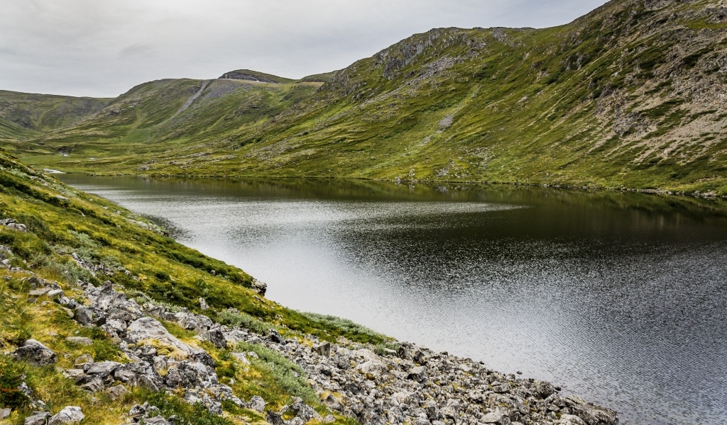 Спокойная река у покрытых зеленью холмов
