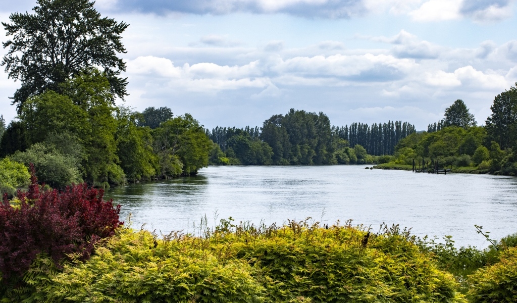 Озеро с покрытыми деревьями берегами