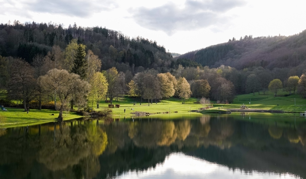 Красивый вид на озеро и парк