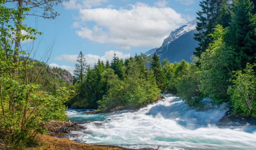 Бушующая быстрая река в лесу