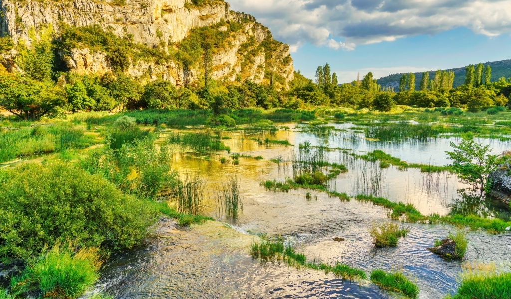 Река с зелеными растениями у горы