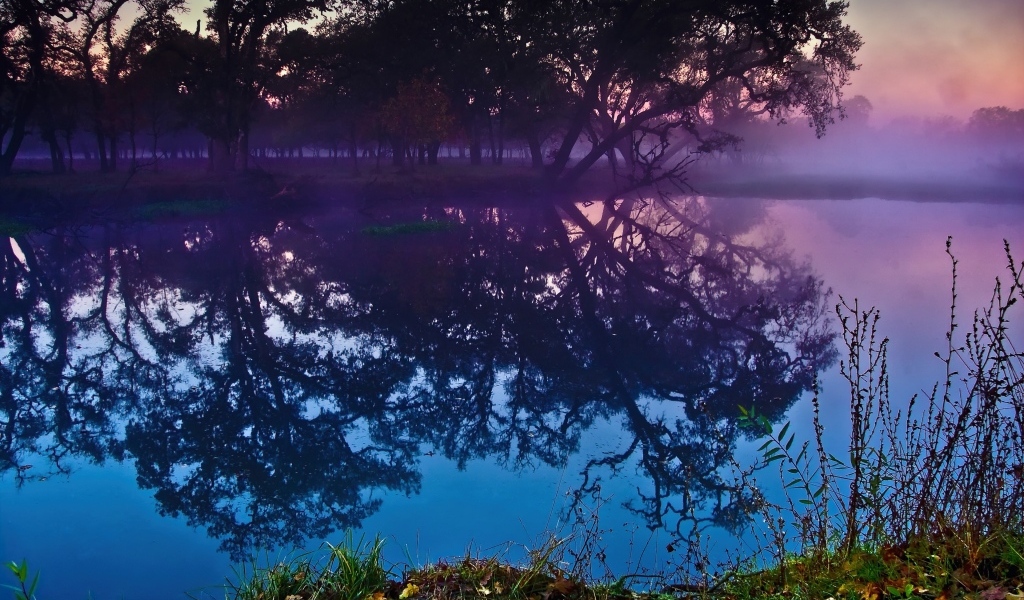 Деревья отражаются в воде озера в сумерках
