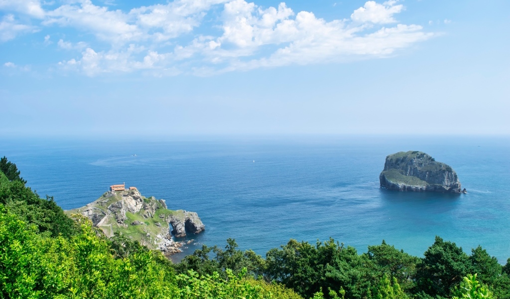 Красивый вид на море с покрытой деревьями горы