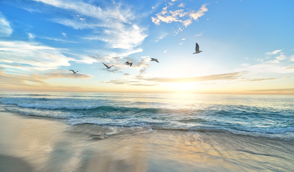 Красивый вид на море летом