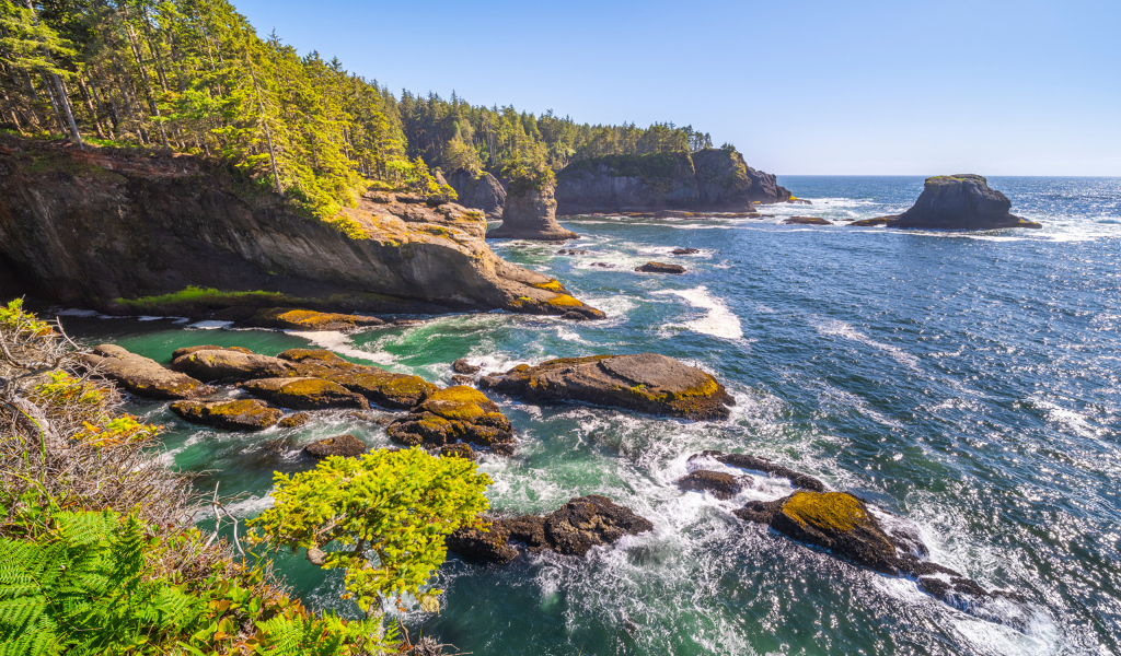 Много камней в воде у утеса