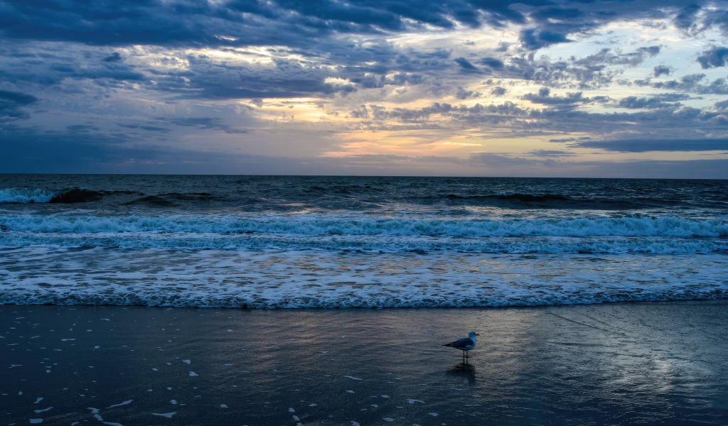 Белые волны окутывают берег моря на рассвете