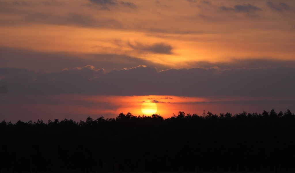 Яркое солнце садится за лесом
