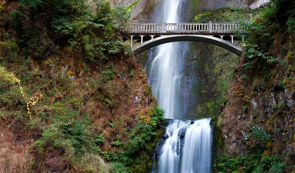 Красивый мост с водопадом в лесу