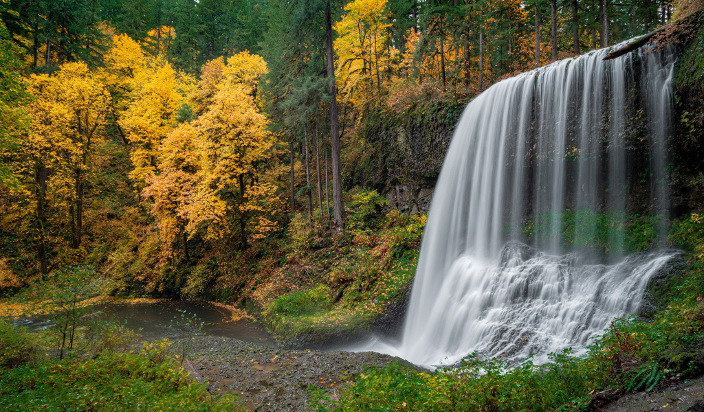 Быстрый холодный водопад в осеннем лесу
