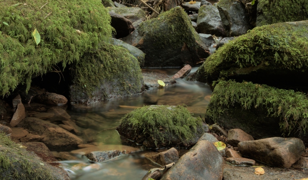 Лесной водопад стекает по холодным камням осенью