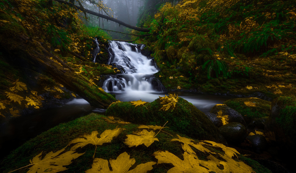 Водопад в лесу осенью