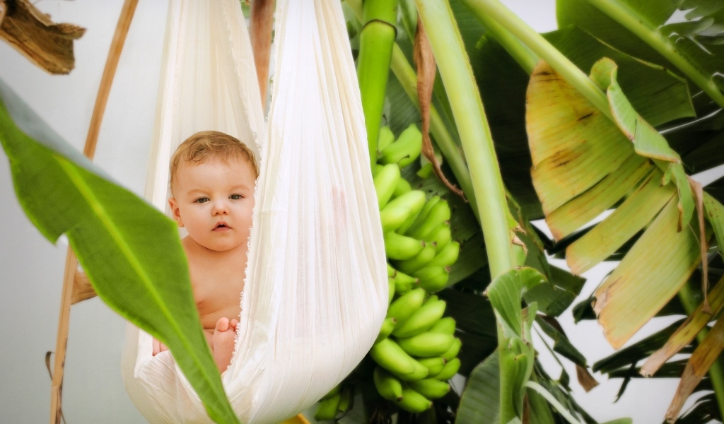 Ребенок в гамаке в тропических зарослях