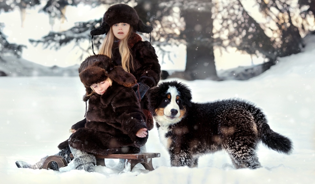 Дети на санках со щенком зимой