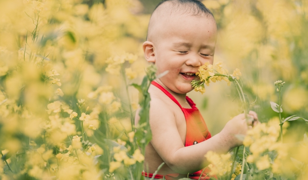 Маленький мальчик на поле с желтыми цветами