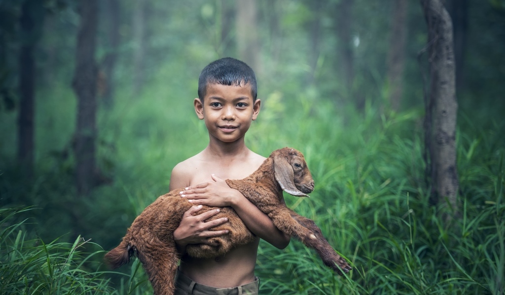 Маленький мальчик с ягненком на руках