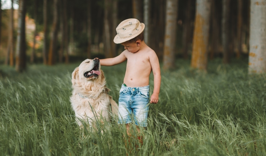 Маленький мальчик с золотистым ретриверов в траве