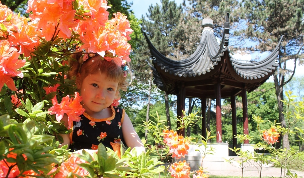 Маленькая девочка в цветах