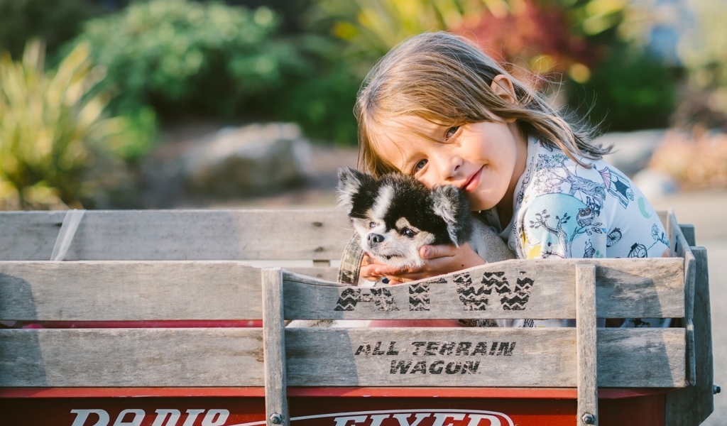 Маленькая девочка со щенком в тележке
