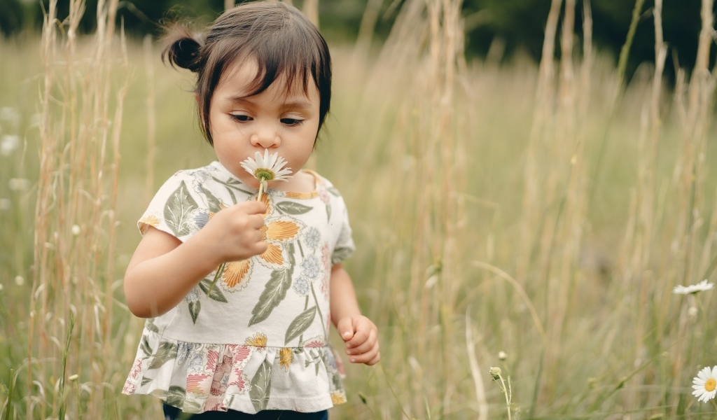 Маленькая девочка с ромашкой на поле