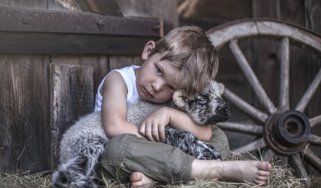 Маленький грустный мальчик обнимает ягненка