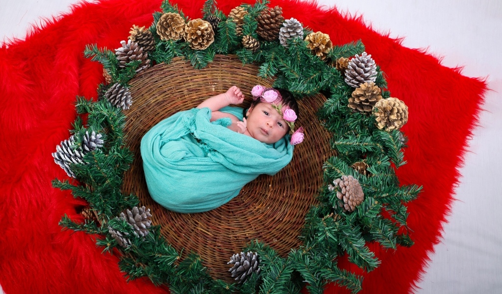 Новорожденная девочка в корзине с еловыми ветками