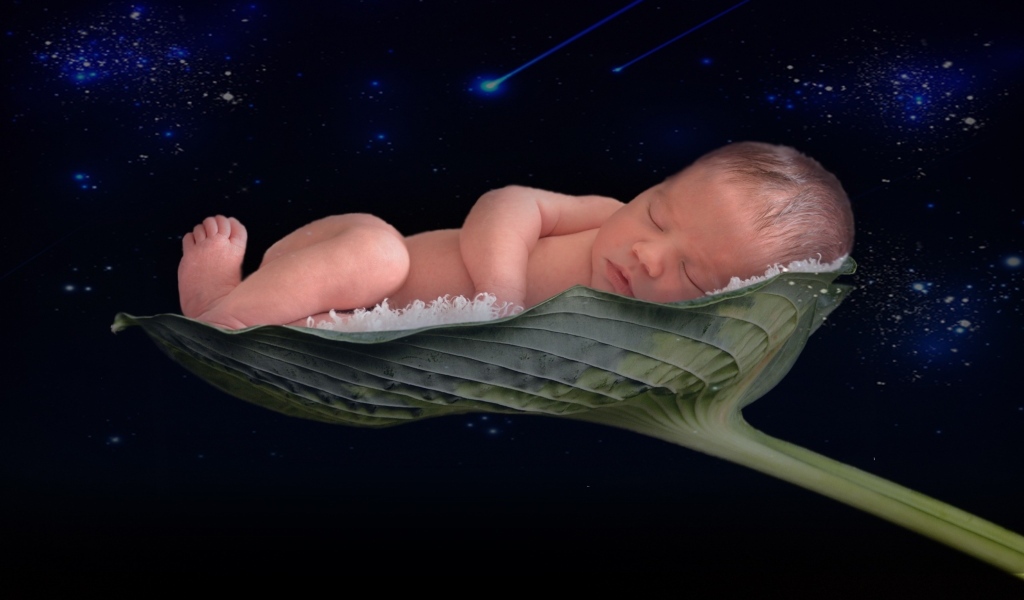 Новорожденный малыш спит на листе лотоса