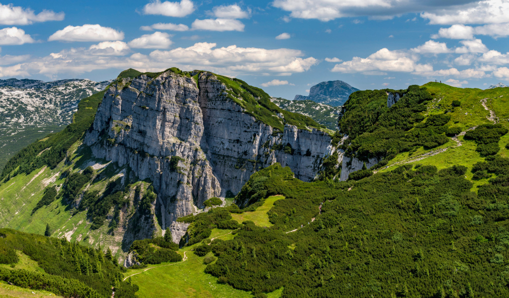 Вид на покрытые зеленью Австрийские Альпы