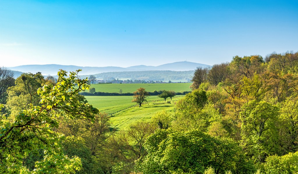 Зеленые деревья под голубым небом, Германия